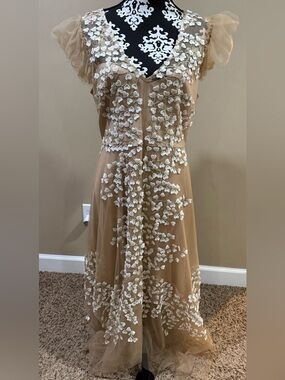 Alex Marie Beige Tulle Dress with White Appliqué